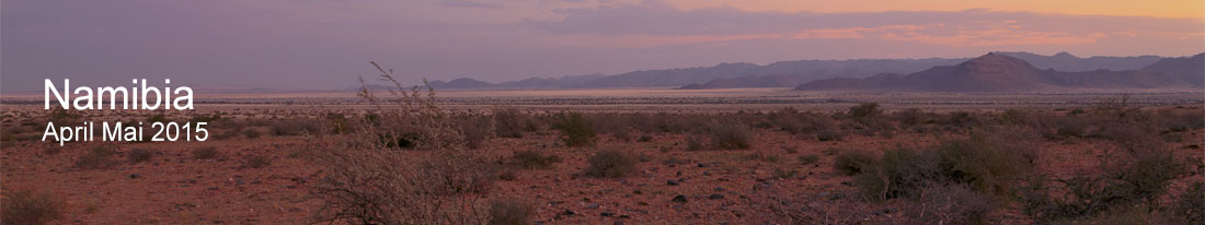 Link zu den Bildern aus Namibia in diesem Bild der Halbwüste 